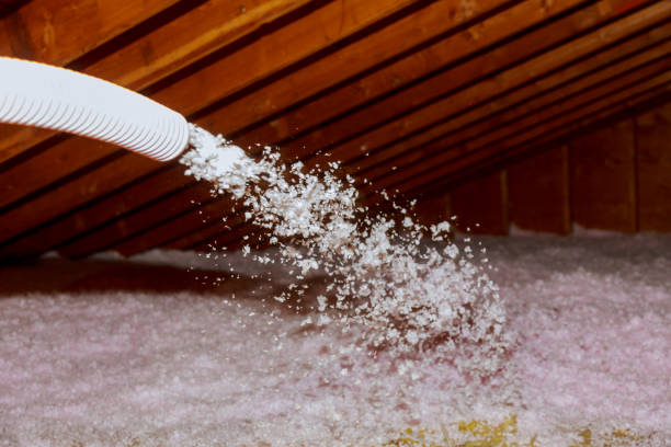 Best Basement Insulation  in Mount Carmel, OH